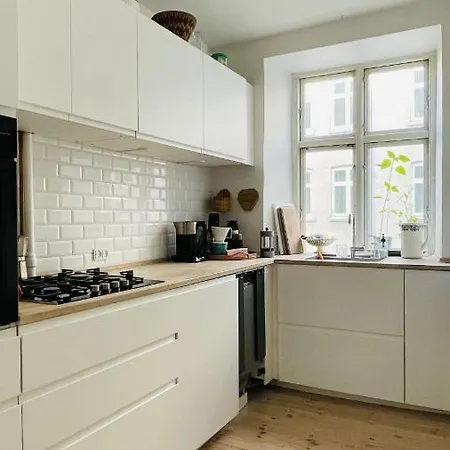 Apartmentincopenhagen 1493 Apartment Copenhagen